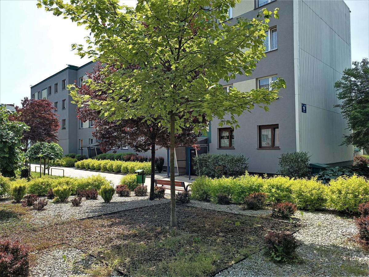 Bursztynowy Apartament Tarnowskie Góry Zewnętrze zdjęcie