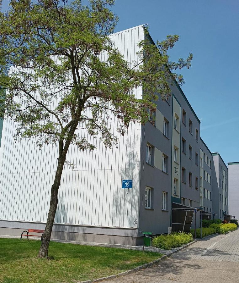 Bursztynowy Apartament Tarnowskie Góry Zewnętrze zdjęcie